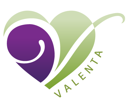Valenta Mental Health Services Logo